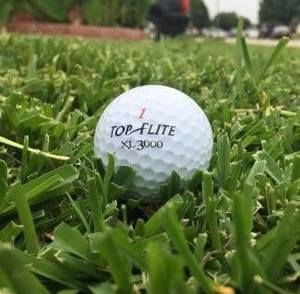 Meet your Posher, Ed